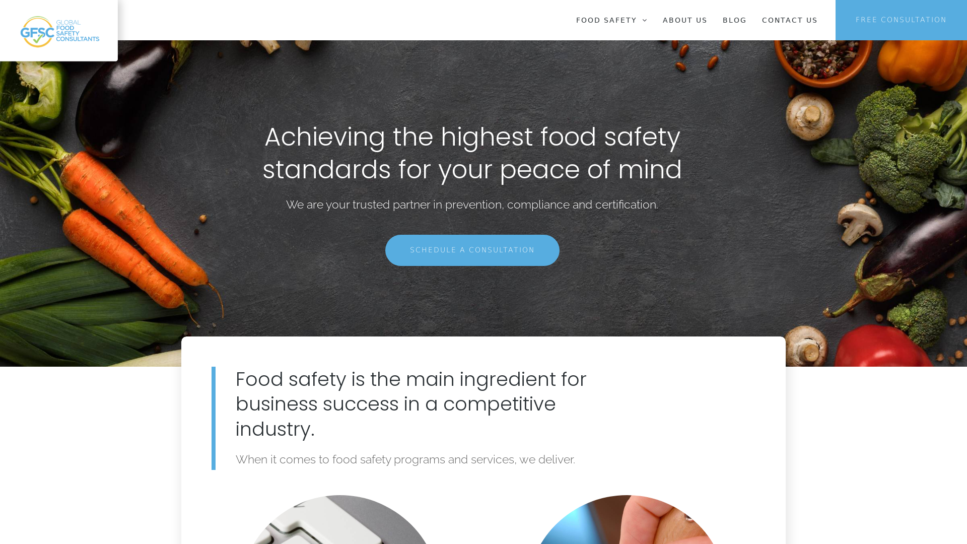 Global Food Safety Consultants